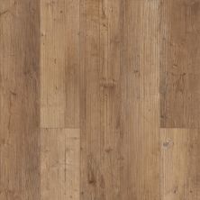 Shaw Floors Mi Homes Linwood Plus 5″ Touch Pine 00690_MH10A