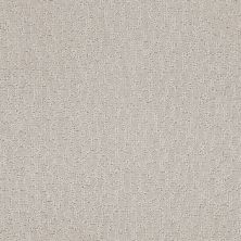 Shaw Floors Mi Homes Earlington Oat 00105_MH119