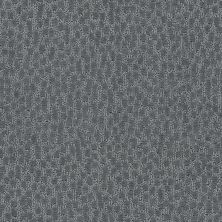 Shaw Floors Mi Homes Earlington Iron 00555_MH119