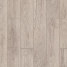 Shaw Floors Mi Homes Grandin Plus Pecorino 00157_MH13A