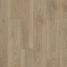 Shaw Floors Mi Homes Grandin Plus Rococo 00265_MH13A