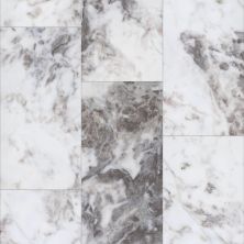 Shaw Floors Mi Homes East Fork Ibizia 01108_MH27A