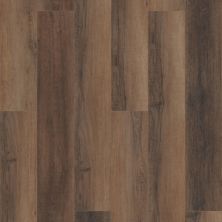 Shaw Floors Mi Homes Wooster HD 9″ Cheshire Elm 02094_MH70A