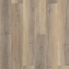 Shaw Floors Mi Homes Wooster HD 9″ Bastion Elm 02095_MH70A