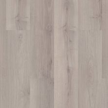 Shaw Floors Mi Homes Short North Frost 05045_MH75B