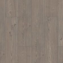 Shaw Floors Mi Homes Golden Plus II Youngstown 05042_MH80B