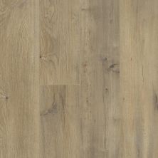Shaw Floors Mi Homes Sheephorn Plus Forge 01004_MH95A