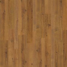 Shaw Floors Mi Homes Manitoba Living Spice Brown 07010_MH98A