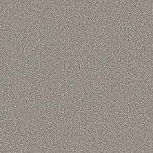 Shaw Floors SFA TWEED COMFORT I Stand Out 00177_5E661