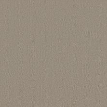 Shaw Floors Simply The Best Highland Twill Sandstone 00115_5E687