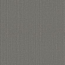 Shaw Floors Pet Perfect Shady Stroll Sheer Taupe 00504_5E689