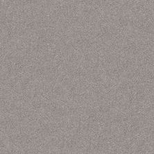 Shaw Floors Simply The Best INLET SHORE II 15′ Brushed Nickel 58508_5E791