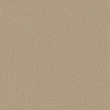 Shaw Floors PADOVA Dunes 00102_52V37