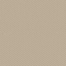 Shaw Floors PADOVA Sand Pebble 00103_52V37