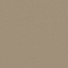 Shaw Floors Inspired By III Clay Stone 00108_5562G