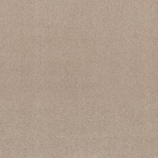 Shaw Floors Inspired By III Bare Essence 00151_5562G