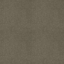 Shaw Floors SFA LOYAL BEAUTY III Grey Flannel 00501_EA164