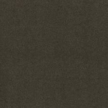 Shaw Floors Inspired By III Vintage Leather 00755_5562G