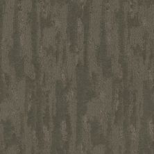 Shaw Floors Pet Perfect Plus TRANQUIL SPIRIT Rerooted Nature 00300_5E585