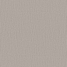 Shaw Floors Pet Perfect Plus Nature Within Washed Linen 00103_5E278