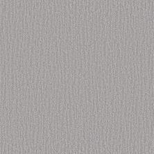 Shaw Floors Pet Perfect Plus Nature Within Silver Lining 00500_5E278