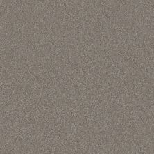 Shaw Floors Pet Perfect Plus Artistic Fusion I Cashmere 00104_5E574