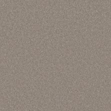 Shaw Floors Pet Perfect Plus ARTISTIC FUSION I Soft Sense 00112_5E574