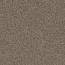 Shaw Floors Pet Perfect Plus JUST A HINT II Dreamy Taupe 00708_E9641