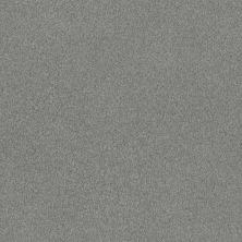 Shaw Floors Caress By Shaw Cozy Harbor II Grounded Gray 00536_CC79B