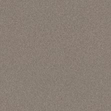 Shaw Floors Caress By Shaw Cozy Harbor II Stucco 00724_CC79B