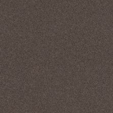 Shaw Floors Caress By Shaw Cozy Harbor II Burma Brown 00752_CC79B