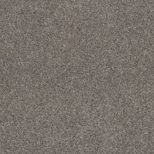 Shaw Floors Value Collections Calm Simplicity II Net Newstone Haven 00512_5E356
