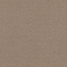 Shaw Floors Pet Perfect Plus Crafted Embrace Beige Bisque 00110_5E455