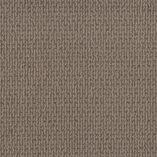 Shaw Floors Pet Perfect Plus CRAFTED EMBRACE Stormy Breeze 00505_5E455