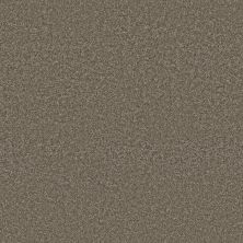 Shaw Floors Bellera Just A Hint I Dreamy Taupe 00708_E9640