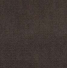 Shaw Floors Caress By Shaw Artistic Presence Burma Brown 00752_CC73B