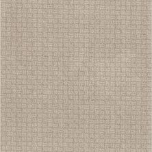 Shaw Floors Pet Perfect Plus SOOTHING SURROUND Desert View 00701_5E275