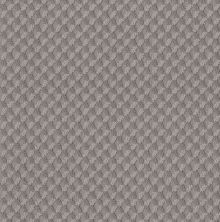 Shaw Floors Fashion Destination DELUXE DIANA Grounded Gray 00536_7D0L7