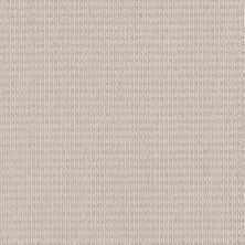 Shaw Floors Pet Perfect Plus Chic Elevation Champagne Toast 00103_5E456