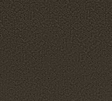 Shaw Floors Free Spirit Burma Brown 00752_CC70B