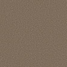 Shaw Floors Pet Perfect AFFIRMATION I Spanish Brown 00701_5E794