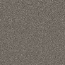 Shaw Floors Pet Perfect AFFIRMATION II Orion Gray 00512_5E795