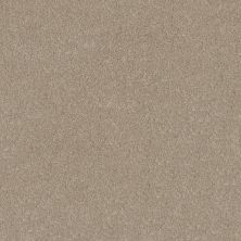 Shaw Floors Pet Perfect Plus GRAND OUTLOOK Natural 00106_5E802