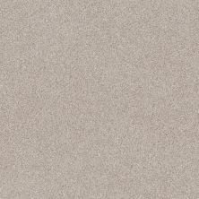 Shaw Floors Pet Perfect Plus Calm Serenity II Washed Linen 00103_5E272