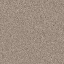 Shaw Floors Pet Perfect Plus Calm Serenity II Beige Bisque 00110_5E272