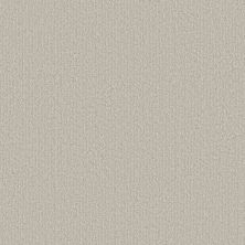 Shaw Floors Simply The Best CLEVER BLEND Almond Silk 00101_5E810
