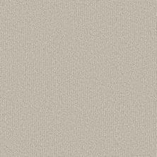 Shaw Floors Simply The Best CLEVER BLEND Subtle Clay 00114_5E810