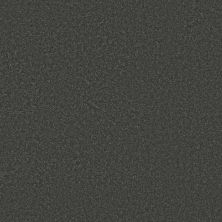 Shaw Floors SIMPLY THE BEST Well Made Charcoal 00504_5E667