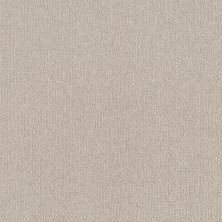 Shaw Floors Simply The Best CLEVER ART Subtle Clay 00114_5E811
