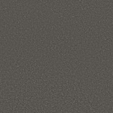 Shaw Floors Pet Perfect Plus BOLD MOVE PLUS Charcoal 00555_5E840